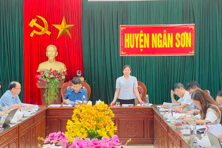Bà Đồng Thị Vân Thoa, Trưởng ban Văn hóa – Xã hội HĐND tỉnh phát biểu tại buổi làm việc với UBND huyện Ngân Sơn. z5469556164153_2d6fb1375a0b94f3804e4893e3153b2d.jpg