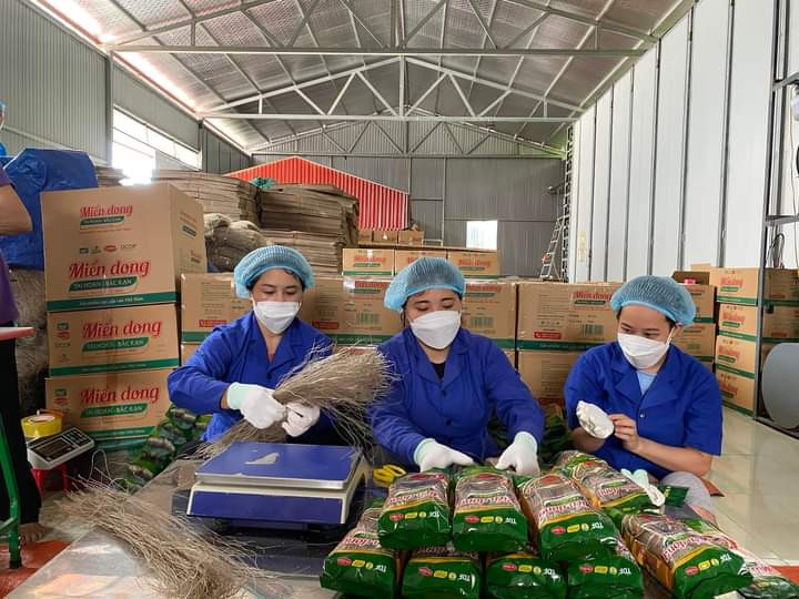 Miến dong Tài Hoan là sản phẩm OCOP 5 sao của huyện Na Rì, đã xuất khẩu sang thị trường châu Âu. Miến dong Tài Hoan là sản phẩm OCOP 5 sao của huyện Na Rì, đã xuất khẩu sang thị trường châu Âu.