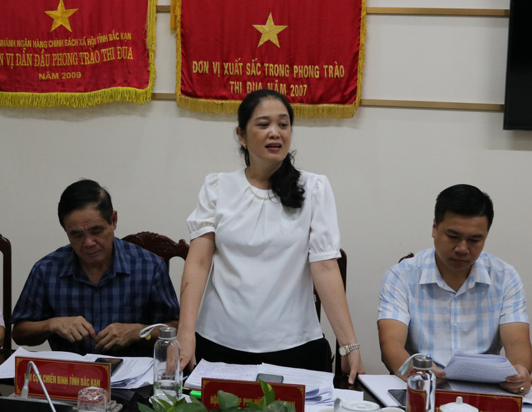 Đồng chí Triệu Thị Thúy, Chủ tịch Hội LHPN tỉnh phát biểu ý kiến.