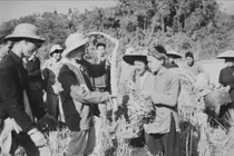 Về thăm quê Bác Làng sen