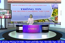 Tư vấn giới thiệu cơ hội việc làm tại tỉnh Bắc Giang