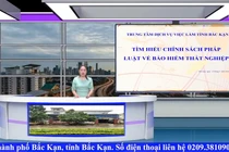 Chương trình giới thiệu việc làm ngày 13/9/2024
