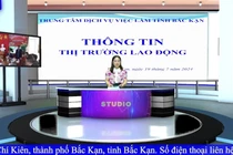 Chuyên mục giới thiệu việc làm số ngày 19/7/2024