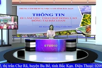 Chương trình giới thiệu việc làm số ngày 14/8/2024