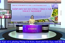 Chương trình giới thiệu việc làm ngày 28/8/2024