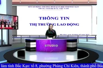 Chuyên mục giới thiệu việc làm số ngày 26/7/2024