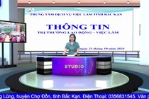 Chương trình giới thiệu việc làm ngày 23/10/2024