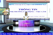 Chuyên mục giới thiệu việc làm số ngày 24/7/2024