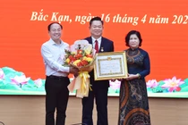 Trao tặng Huy hiệu Đảng và khen thưởng đảng viên hoàn thành xuất sắc nhiệm vụ 5 năm liền