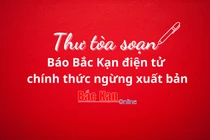 THƯ TÒA SOẠN