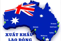 [Podcast] Tuyển dụng lao động Việt Nam đi làm việc trong ngành nông nghiệp tại Australia