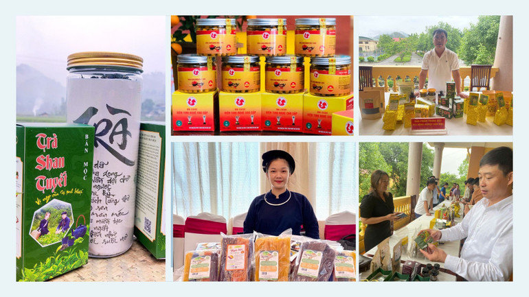 Các sản phẩm OCOP Bắc Kạn ngày càng phong phú và đa dạng. hinh-nen-may-tinh-to-chuc-bang-ke-hoach-ke-o-anh-mau-xanh-duong-3.jpg