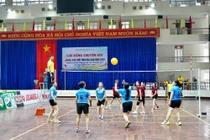 Ngay sau lễ khai mạc các đội đã bước vào những trận thi đấu đầu tiên.