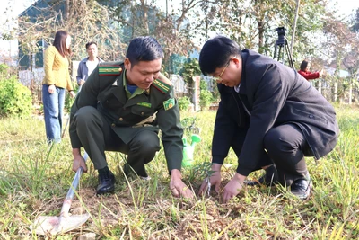 Lãnh đạo tỉnh dự Lễ phát động Tết trồng cây tại huyện Ba Bể