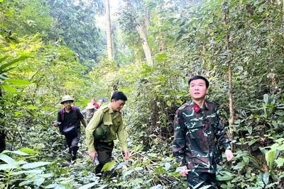 Kiểm tra, nắm tình hình hoạt động tại Ban Quản lý Khu dự trữ thiên nhiên Kim Hỷ