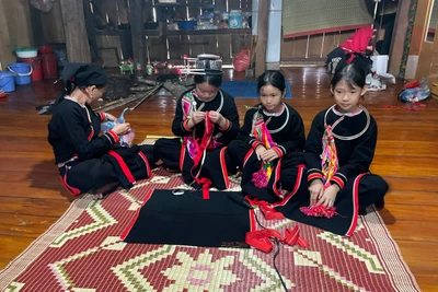 Khơi dậy giá trị văn hóa từ Dự án 6