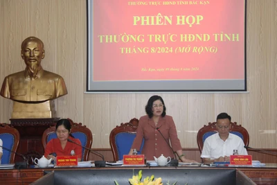 Phiên họp Thường trực HĐND tỉnh tháng 8/2024