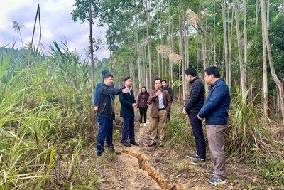 Phó Chủ tịch Thường trực UBND tỉnh kiểm tra hiện tượng nứt, sụt tại Ba Bồ