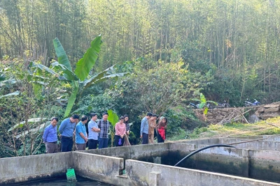 Đồng chí Đinh Quang Tuyên, Phó Chủ tịch Thường trực UBND tỉnh thăm nắm một số điểm du lịch tại Ba Bể