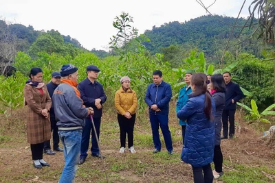 Đồng chí Hoàng Duy Chinh, Bí thư Tỉnh ủy khảo sát, nắm tình hình triển khai xóa nhà tạm, dột nát tại huyện Chợ Đồn