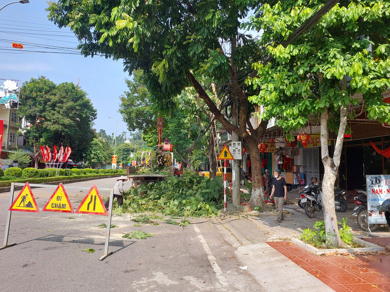 Thành phố Bắc Kạn tiến hành cắt tỉa cành cây trên nhiều tuyến đường. 1000003128.jpg