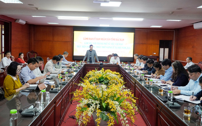 Quang cảnh buổi làm việc. dsc2620.jpg