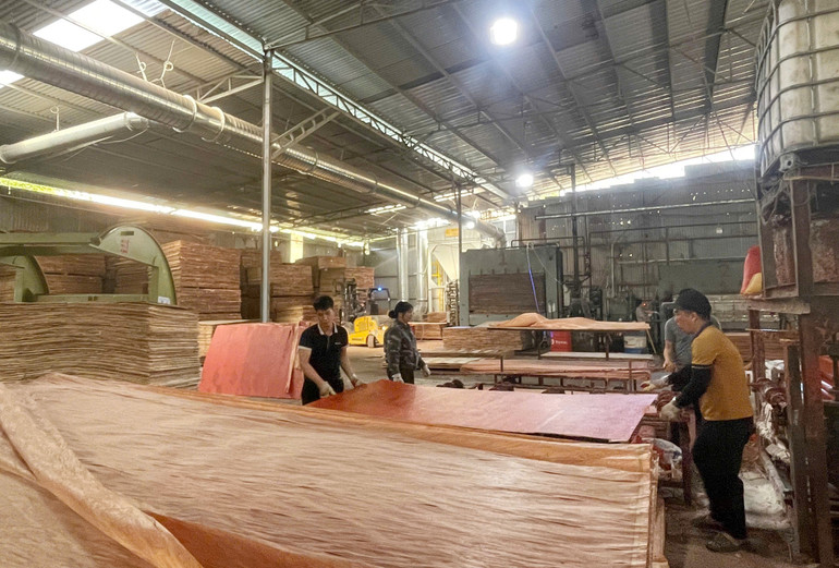 Công nghiệp - dịch vụ có bước chuyển mình mạnh mẽ. z6470920169486-765ca6c342c04669861f650c809fea02.jpg