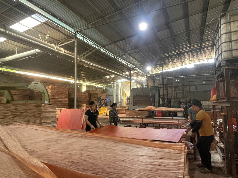 Nhiều việc làm được tạo ra giúp các hộ nghèo có nguồn thu nhập ổn định, dần thoát nghèo. z6470920169486-765ca6c342c04669861f650c809fea02.jpg