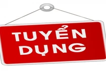 Tiếp nhận công chức về công tác tại phòng chuyên môn thuộc UBND huyện