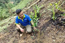 Bắc Kạn: Những loại cây đặc sản được trồng vào tháng 4