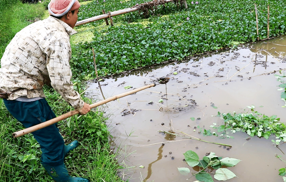 Người dân ở Trung Hòa muốn biết nguyên nhân chính xác khiến ốc chết