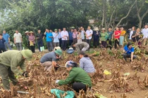 Giữ chữ “tín” trong liên kết sản xuất