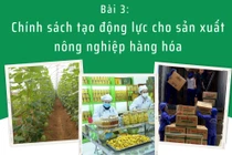 Bài 3 - Chính sách tạo động lực cho sản xuất nông nghiệp hàng hóa