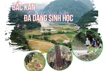 Bắc Kạn bảo tồn đa dạng sinh học