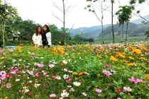 Hồ Bản Chang, đèo Khau Khang- điểm đến hấp dẫn dịp nghỉ lễ 30/4 và 01/5