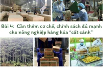 Bài cuối - Cần thêm cơ chế, chính sách đủ mạnh cho nông nghiệp hàng hóa “cất cánh” 