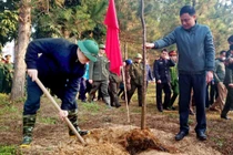 [Trực tiếp] Lễ phát động Tết trồng cây đầu xuân Quý Mão