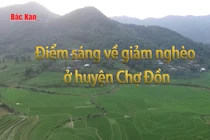 Điểm sáng giảm nghèo ở Chợ Đồn 