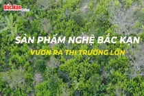  Sản phẩm nghệ Bắc Kạn vươn ra thị trường lớn