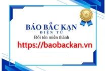 Báo Bắc Kạn điện tử đổi sang tên miền mới 