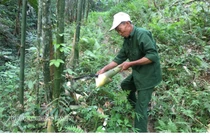 Học tập và làm theo lời dạy của Bác, "Thương binh tàn nhưng không phế"