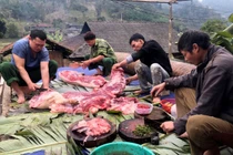 "Đụng" lợn ăn Tết, nét văn hóa của đồng bào Bắc Kạn