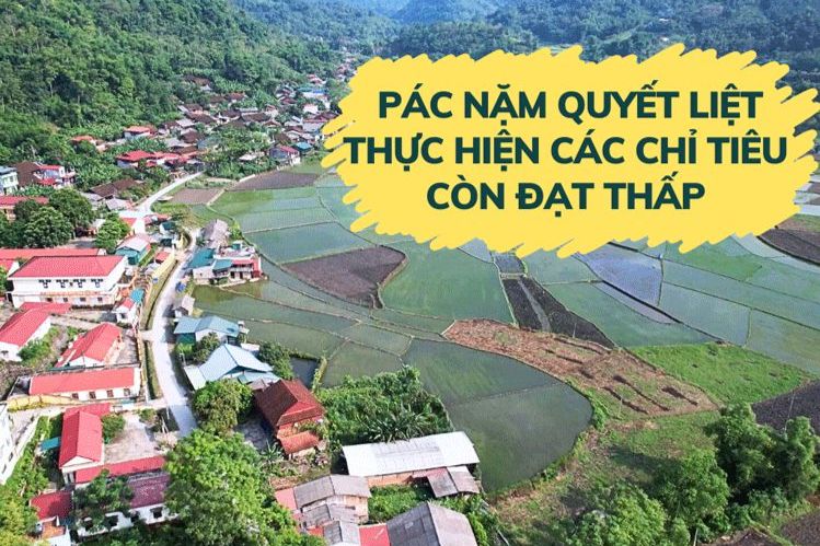 Pác Nặm quyết liệt thực hiện các chỉ tiêu còn đạt thấp 