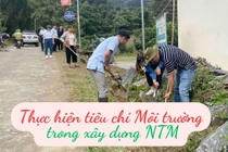 Thực hiện tiêu chí Môi trường trong xây dựng nông thôn mới