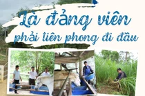 Là đảng viên phải tiên phong đi đầu