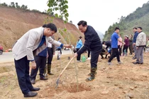 Lãnh đạo tỉnh dự Lễ phát động “Tết trồng cây đời đời nhớ ơn Bác Hồ” Xuân Giáp Thìn năm 2024 tại Bạch Thông