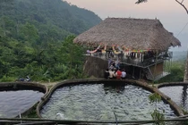 Trải nghiệm thú vị rừng trúc, khu nuôi cá tầm ở Phiêng Phàng