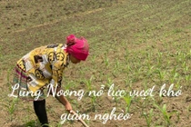 Lũng Noong từng bước giảm nghèo