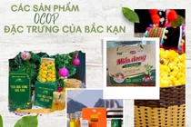 Bắc Kạn tham gia Tuần lễ quảng bá văn hóa, bán hàng đặc sản tại NovaWorld Phan Thiết, Bình Thuận