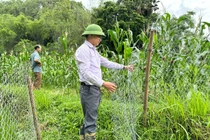 Loạt bài về giải phóng mặt bằng góp phần tích cực cho công tác vận động, tuyên truyền